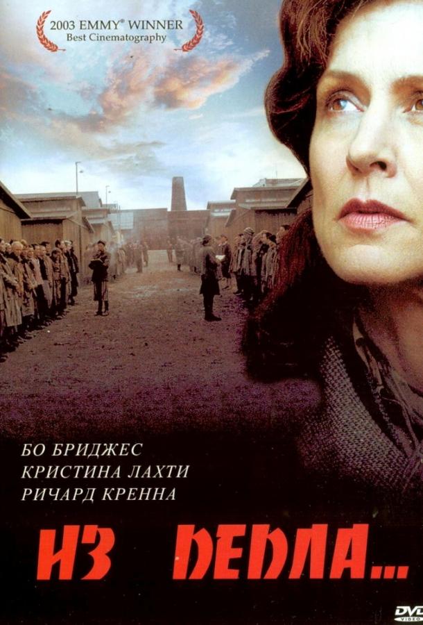 Постер к Из пепла (2003)