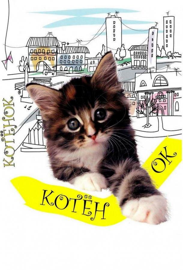 Постер к Котенок (1996)