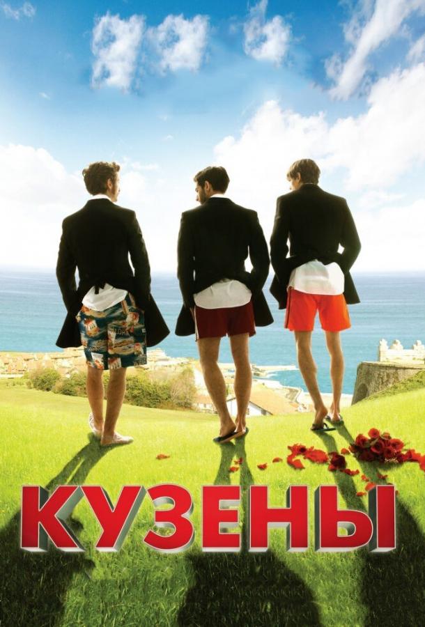 Постер к Кузены (2010)