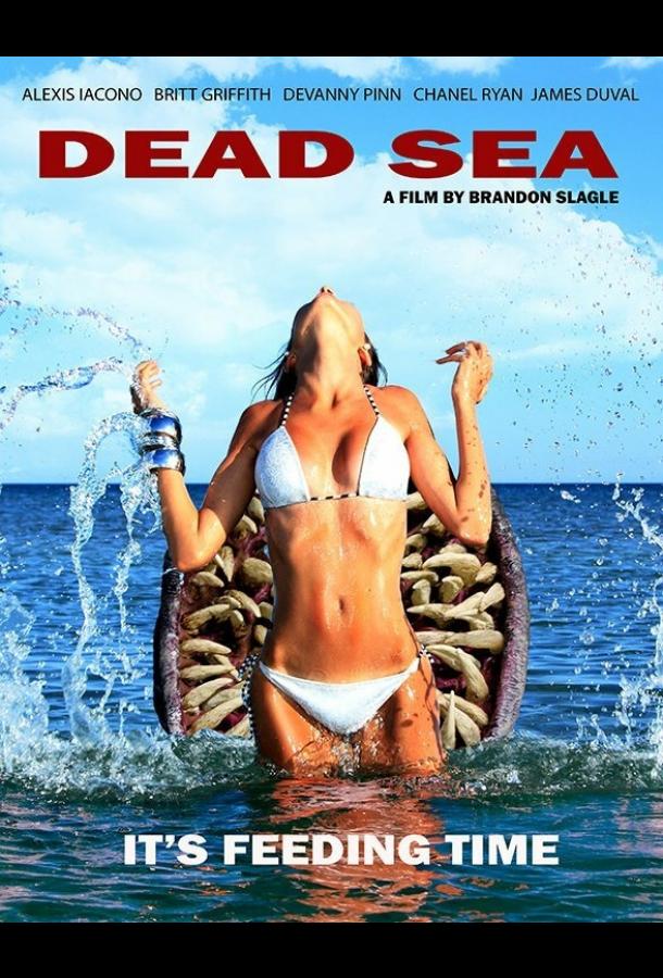 Постер к Мёртвое море (2014)