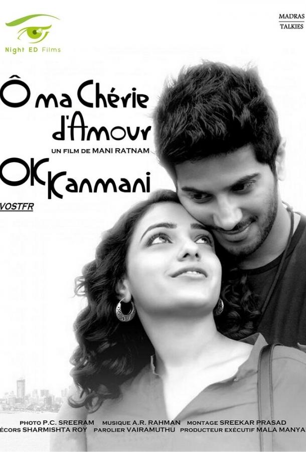 Постер к Да, моя радость! (2015)