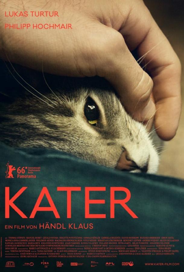 Постер к Кот (2016)